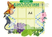 Оформление кабинета Биологии №12