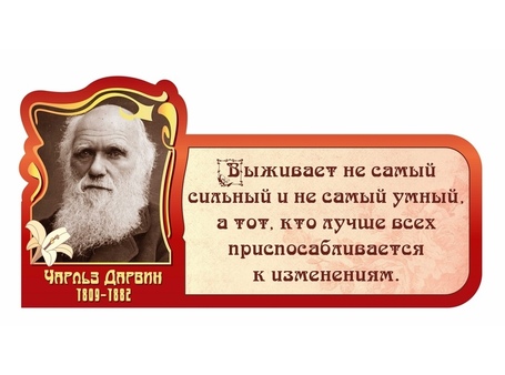 Оформление кабинета Биологии №27