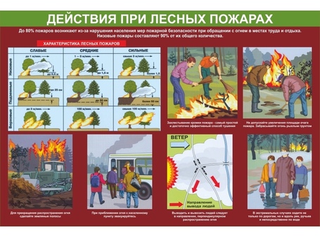 Тематический стенд №3
