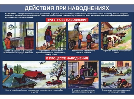 Тематический стенд №4